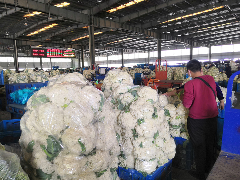 1588231842405117.jpg 1588231842405117.jpg