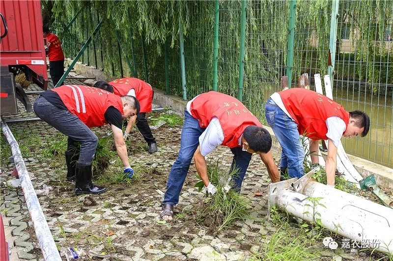 1593587539613492.jpg 1593587539613492.jpg