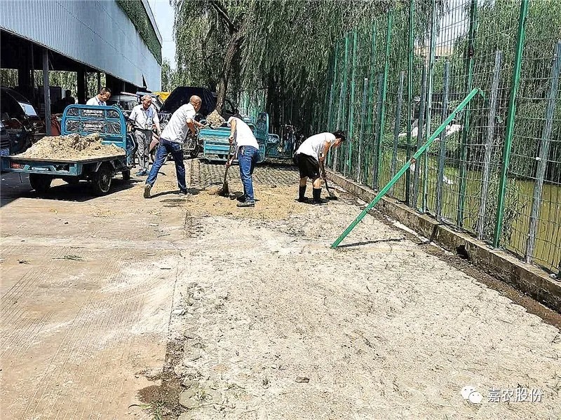 1593587589585862.jpg 1593587589585862.jpg