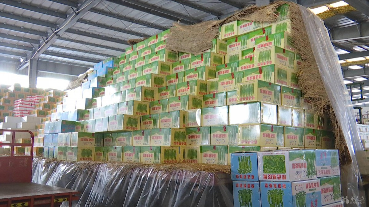 1612312014653728.jpg 1612312014653728.jpg