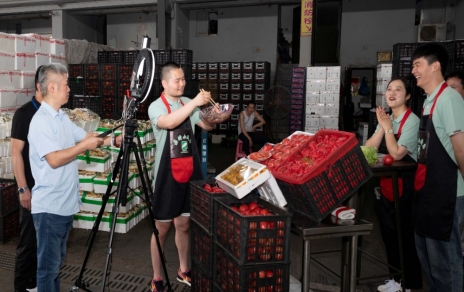 人間煙火氣，最撫凡人心  ---“嘉昕小廚房”本期主角：番茄！