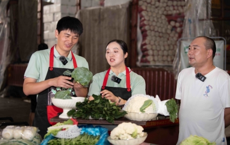 走進張北高原，領略夏菜魅力